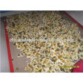 High Temperature Teflon Conveyor Belt